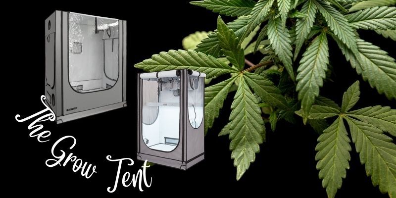What Size Grow Tent Do I Need