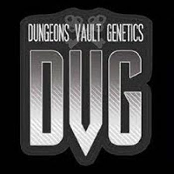 Dungeons Vault Genetics Cannabis Breeder