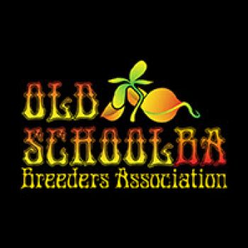 old school breeders association cannabis breeder