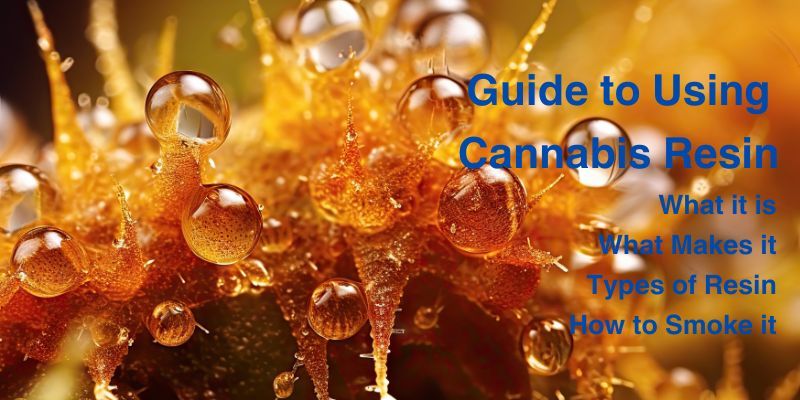 How to Use Cannabis Resin