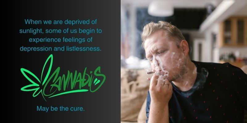 Cannabis for Seasonal Depression