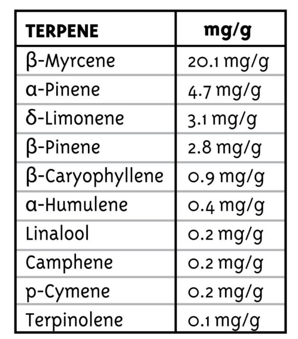 Humboldt Seed Company P.P.D. Fem 10 pk - Image 2