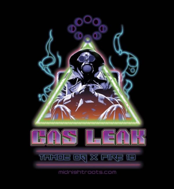 Midnight Roots Gas Leak Reg 10 pk