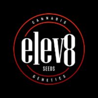 Elev8 Seeds cannabis breeder