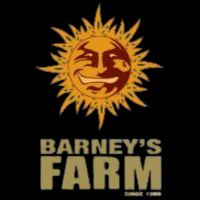 Barney's Farm | The Seed Cellar