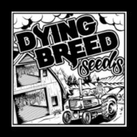 Dying Breed