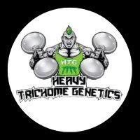 Heavy Trichome Genetics