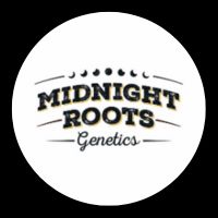 Midnight Roots Genetics