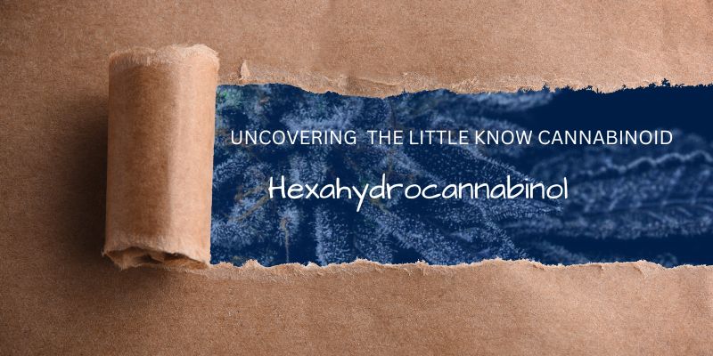 What is Hexahydrocannabinol (HHC)?